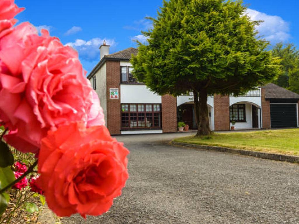 דרוגדה Killowen House B&B מראה חיצוני תמונה